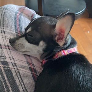 Meet your Posher, Renee